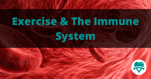 Read more about the article Exercise & The Immune System – How Are They Linked?